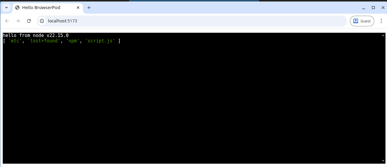 Output of the basic template